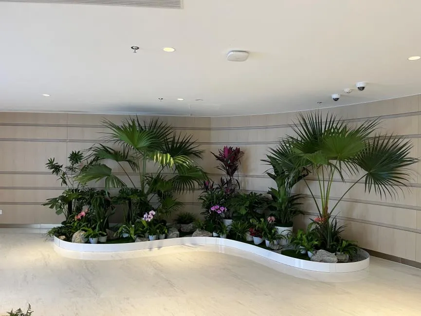 想低价租镇海绿植？这些价格门道你得知道！